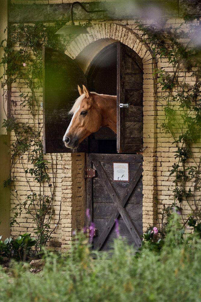 Photograph by Павел Золенко