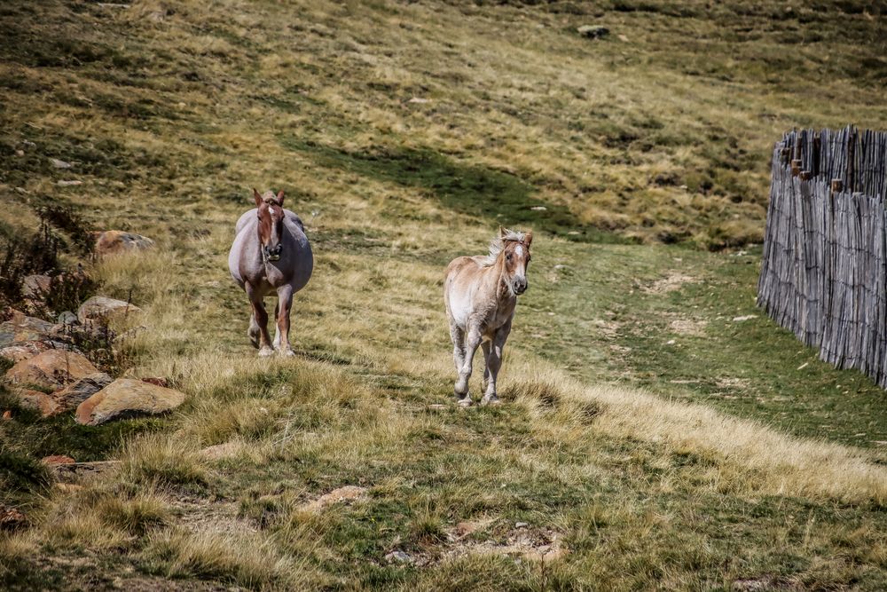 Photograph by vanessa elbin