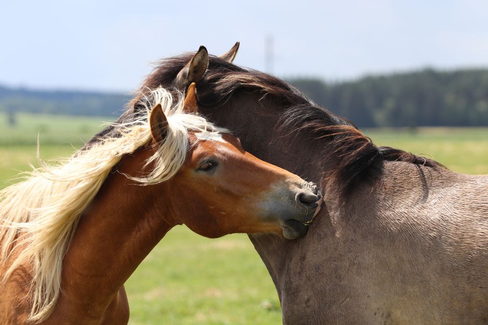 Фотография автора евгения