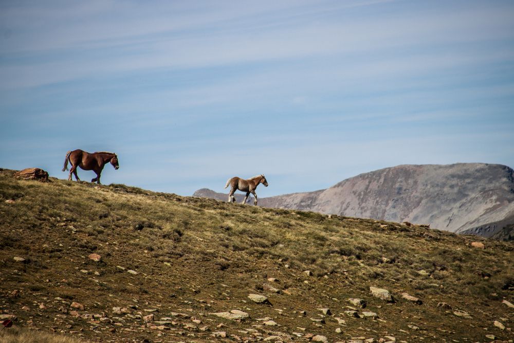 Photograph by vanessa elbin