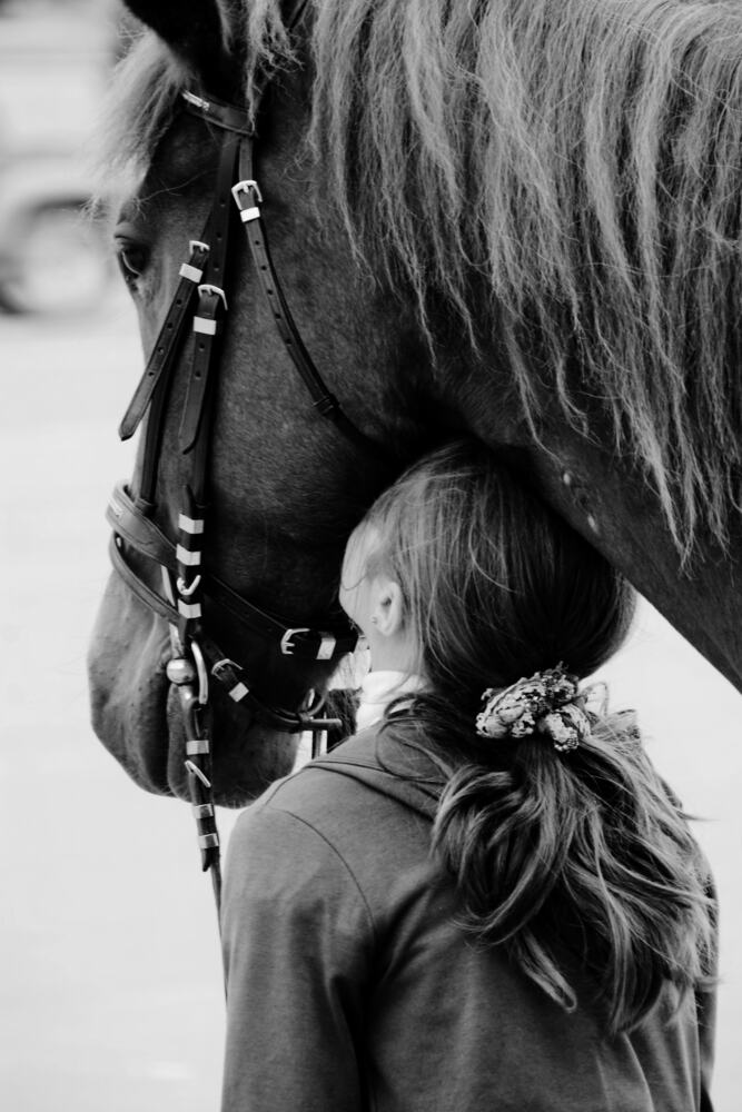 Фотография автора Вячеслав ИВАНОВ