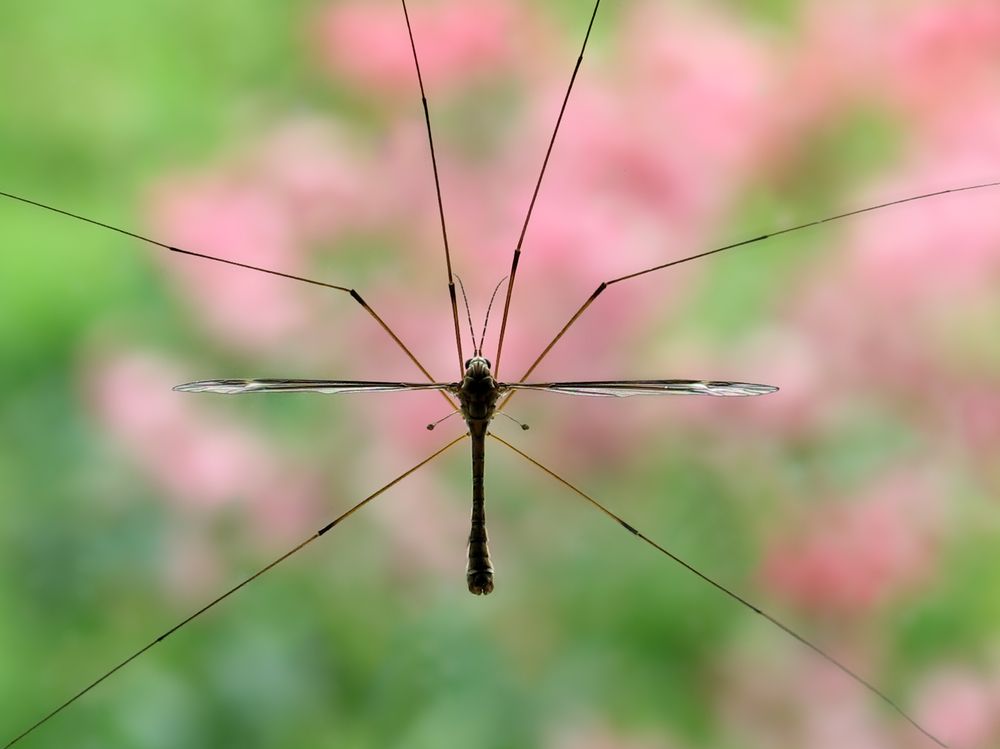 Photograph by Тимофей Черепанов