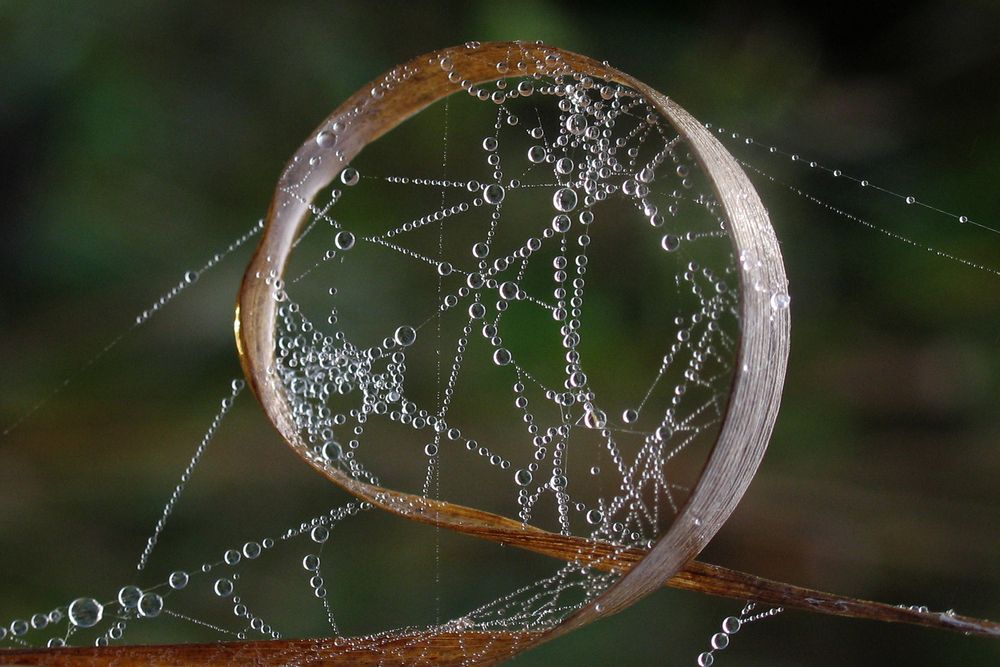 Photograph by Тимофей Черепанов