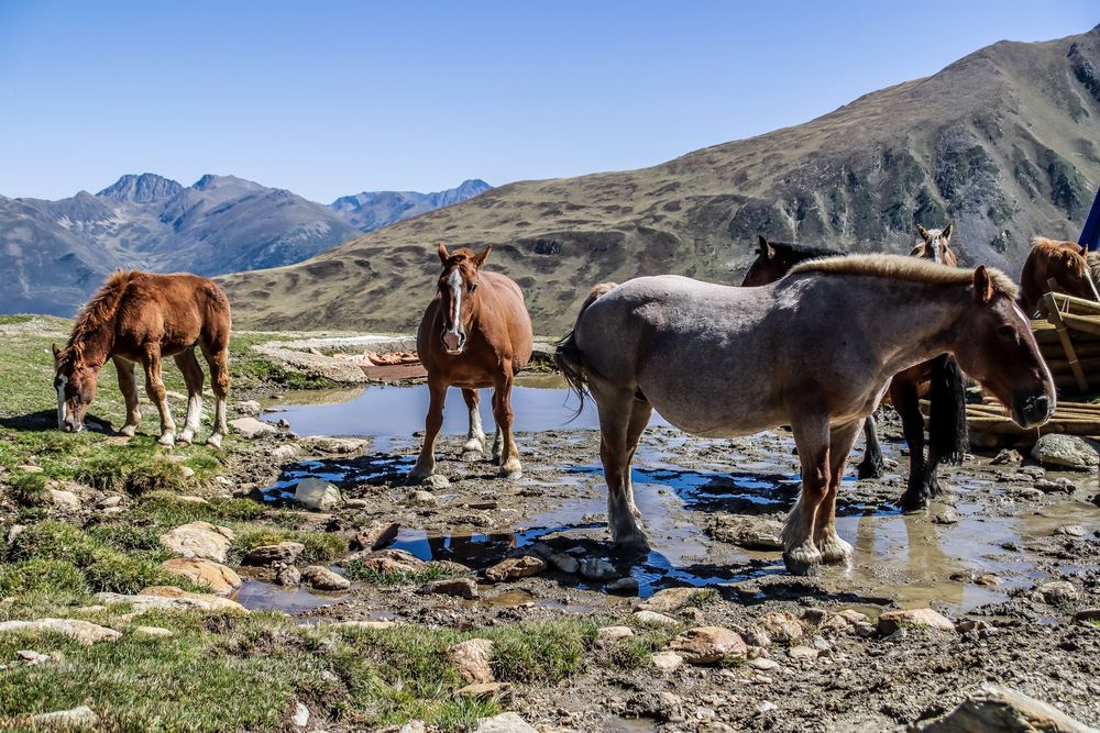 Photograph by vanessa elbin