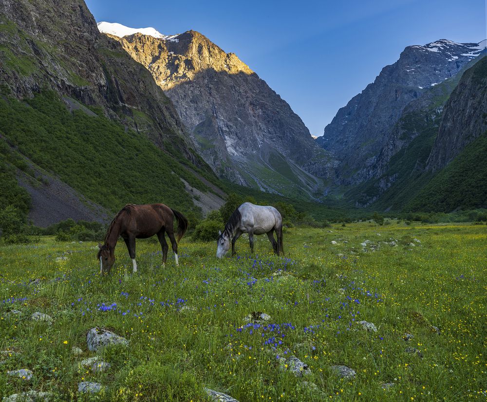 Photograph by Евгений Кармаев