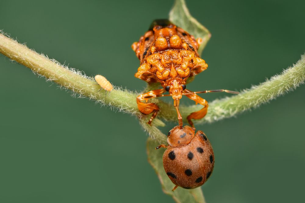 Photograph by ARUNAVA DEY