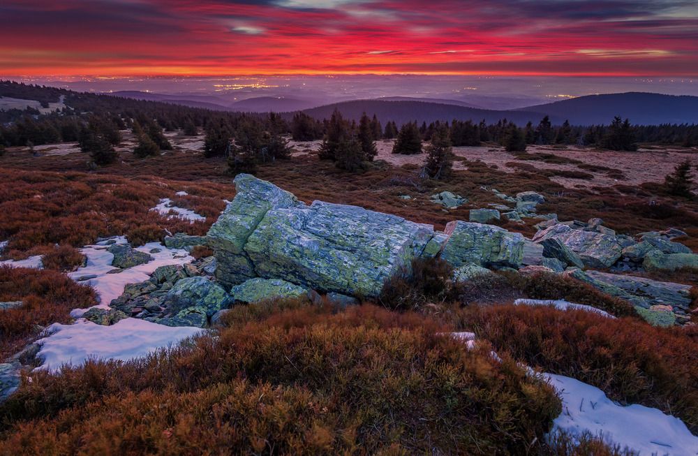 Photograph by Petr Fiala