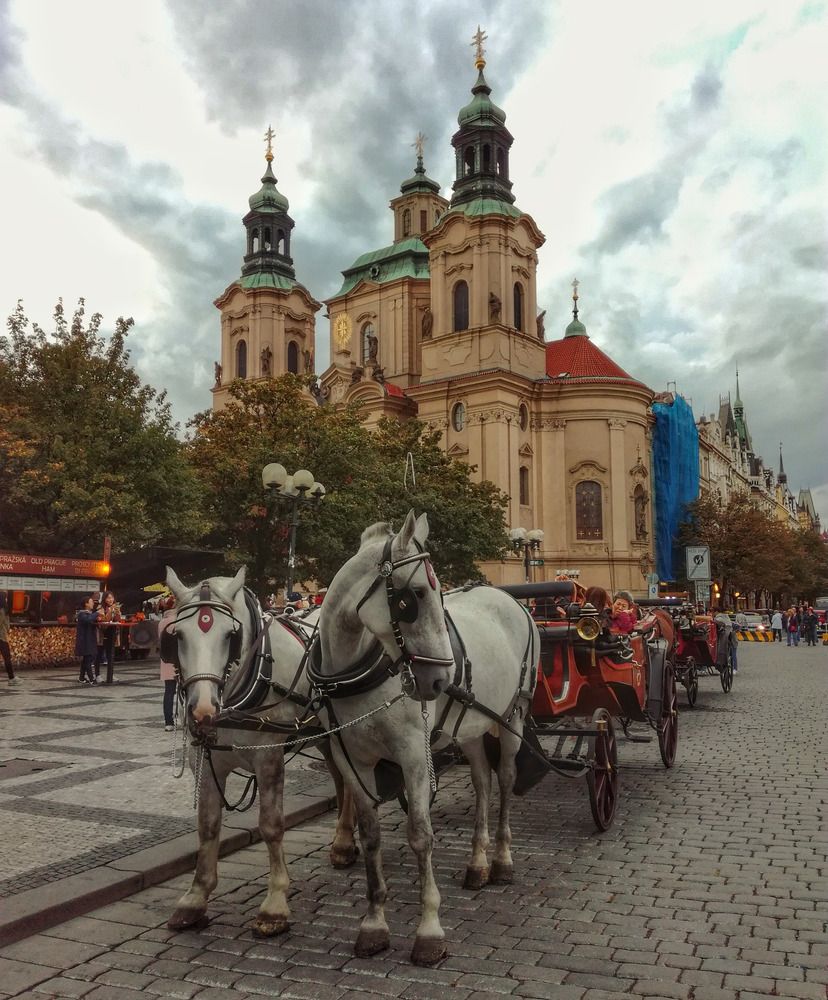 Photograph by Мария Шамина