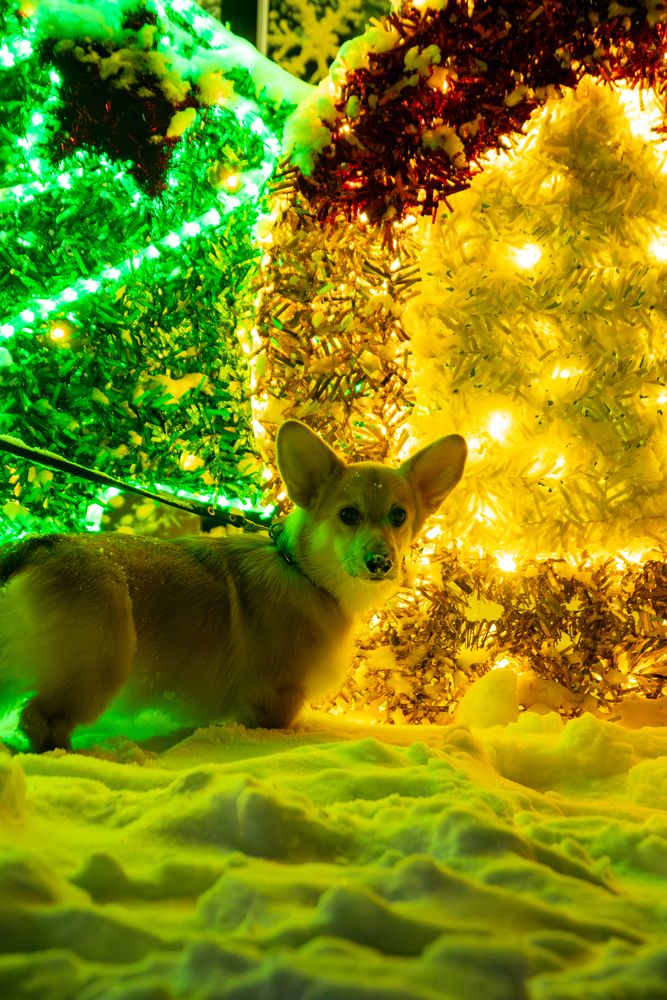 Фотография автора Aamoda Kitchen