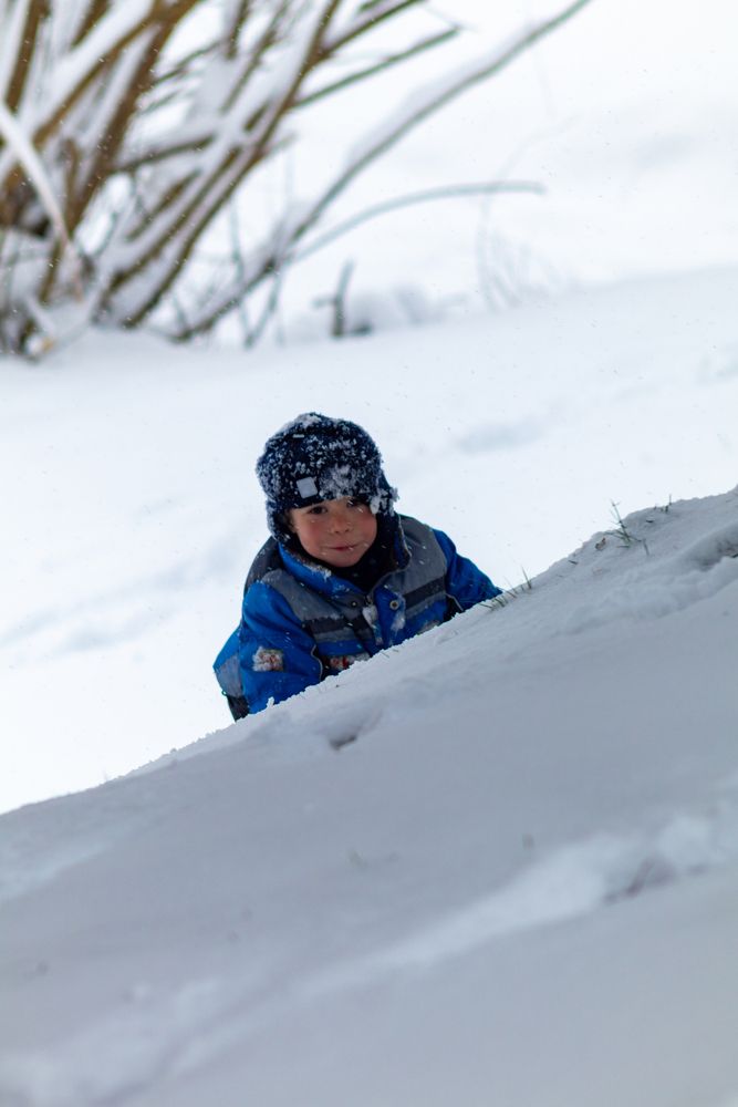 Фотография автора Aamoda Kitchen