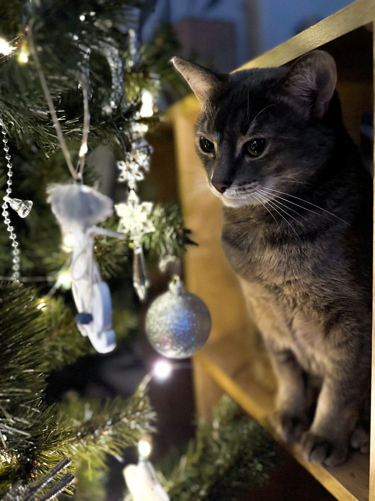 Photograph by Мария Шамина