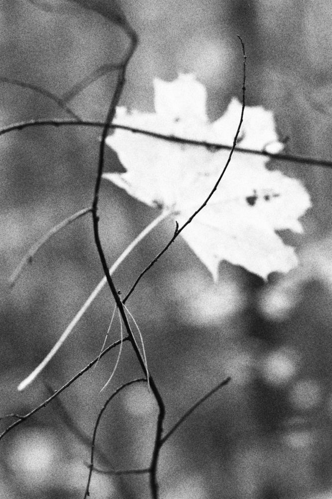 Фотография автора евгения