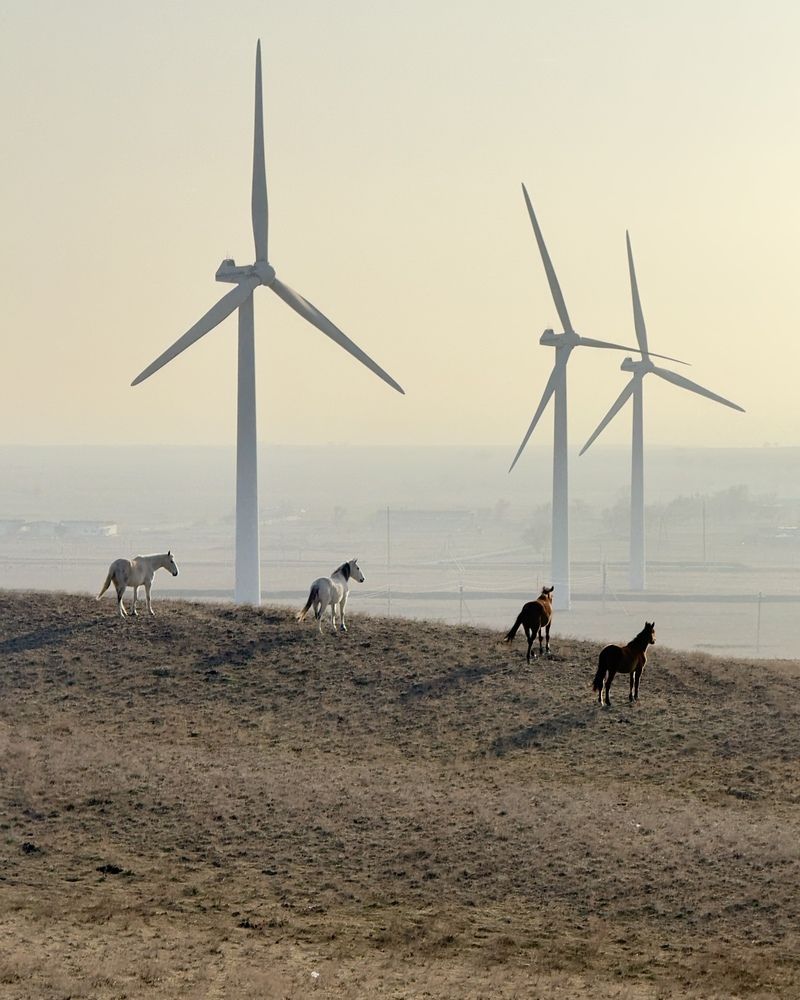 Photograph by Ольга Бибекина