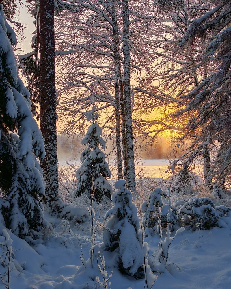 Photograph by OLga Piirainen