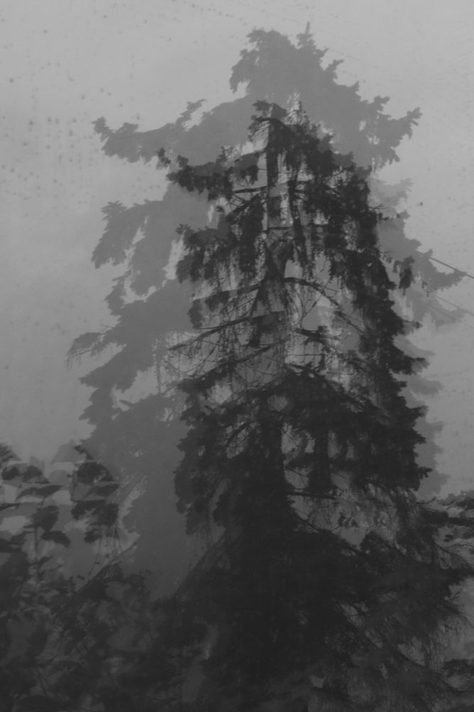 Фотография автора евгения