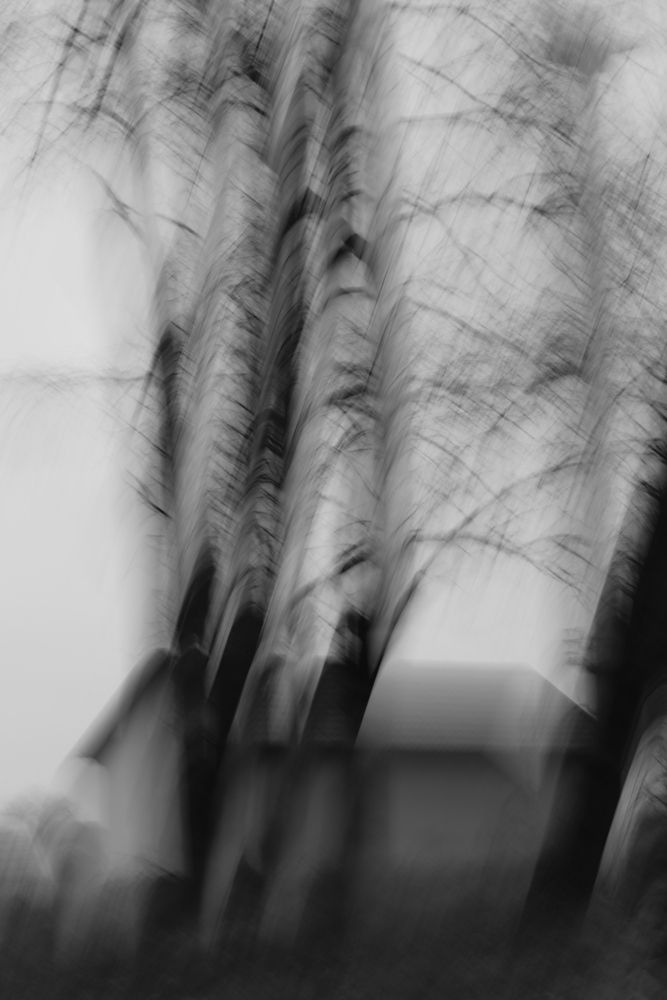 Фотография автора евгения