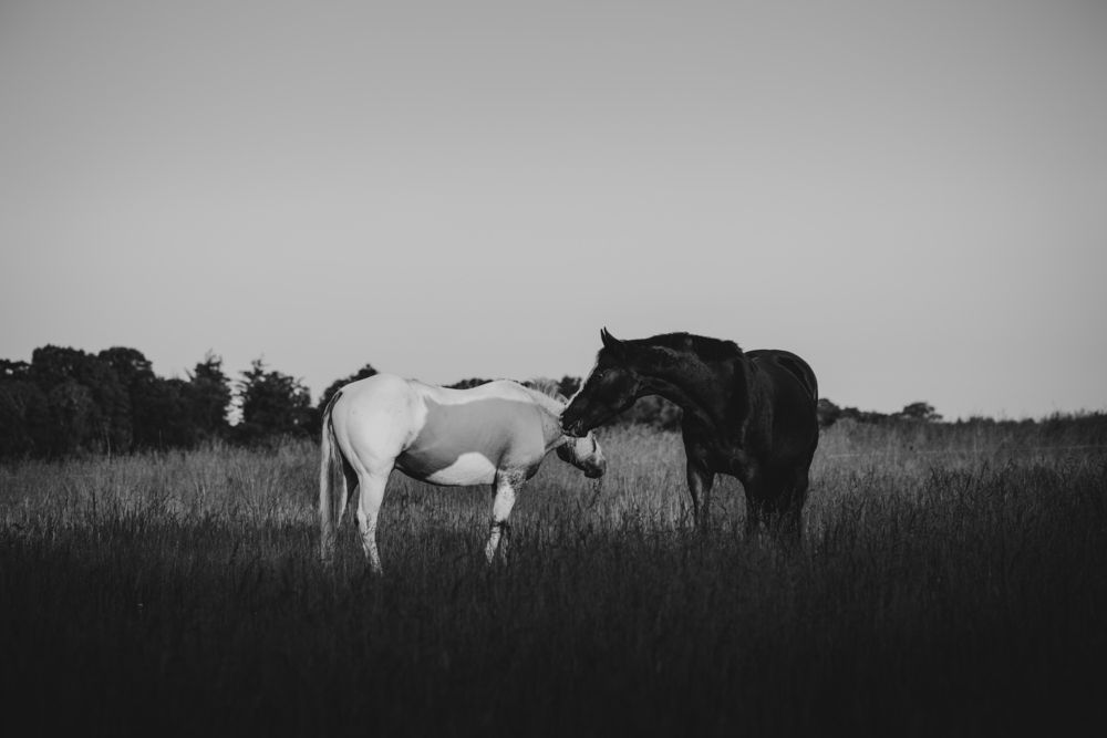 Photograph by Anna Archinger