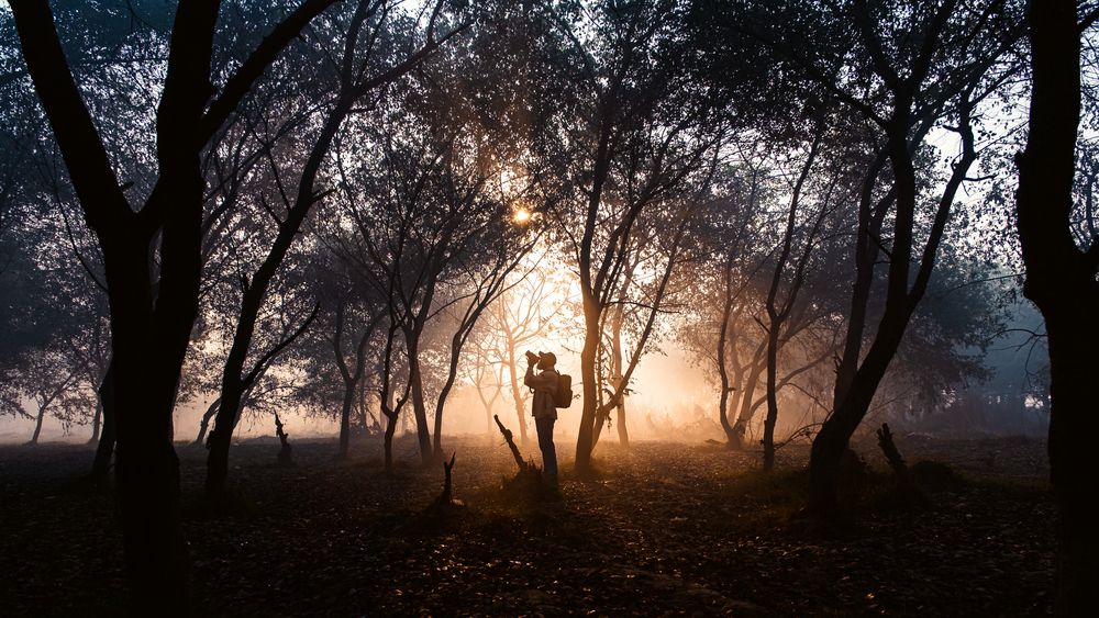 Фотография автора Anuj Medhavi