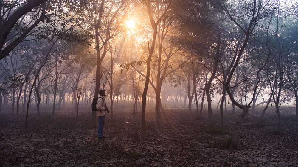 Фотография автора Anuj Medhavi