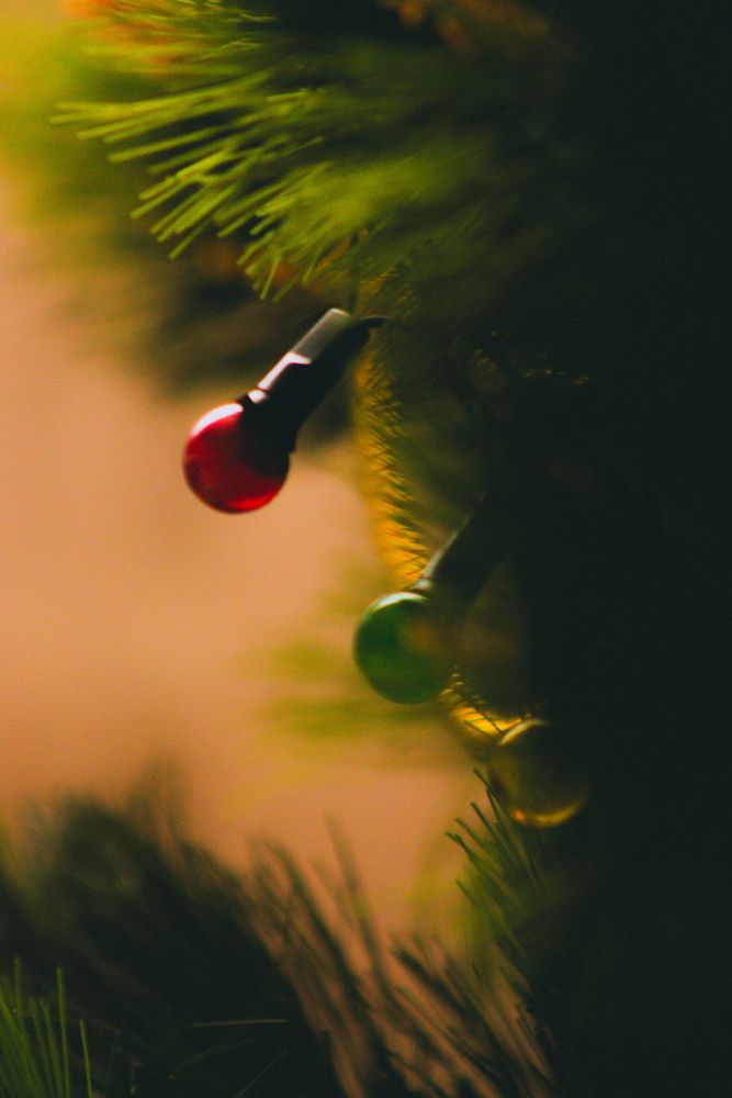 Photograph by Юлия Сысоева