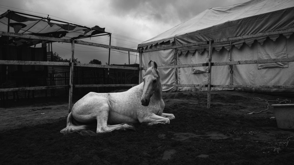 Фотография автора Anuj Medhavi