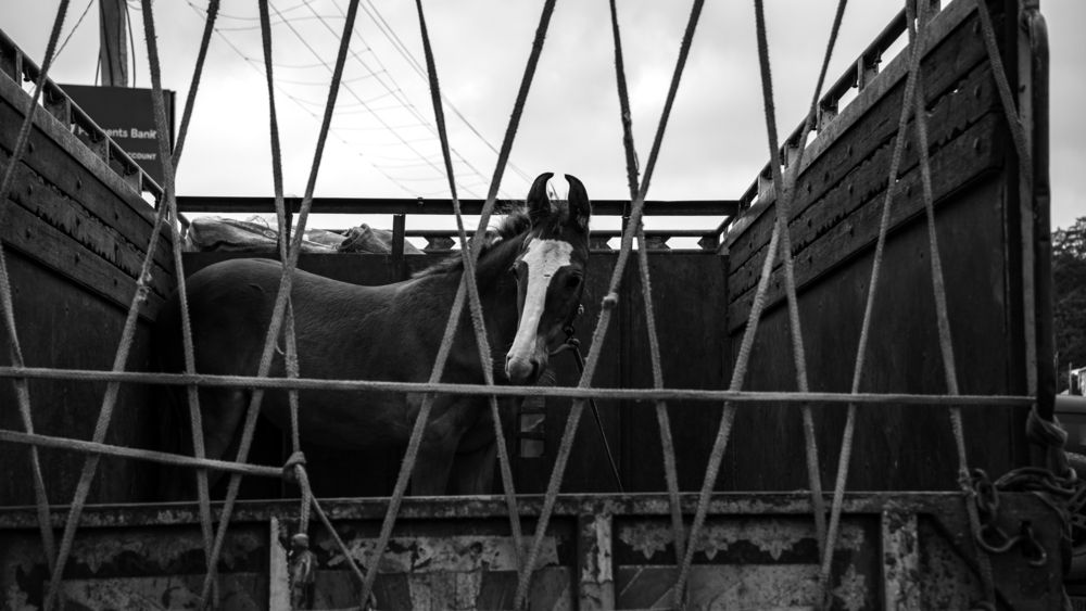 Фотография автора Anuj Medhavi