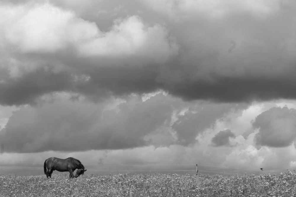 Фотография автора евгения