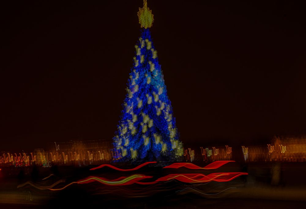 Фотография автора Елена Данченко