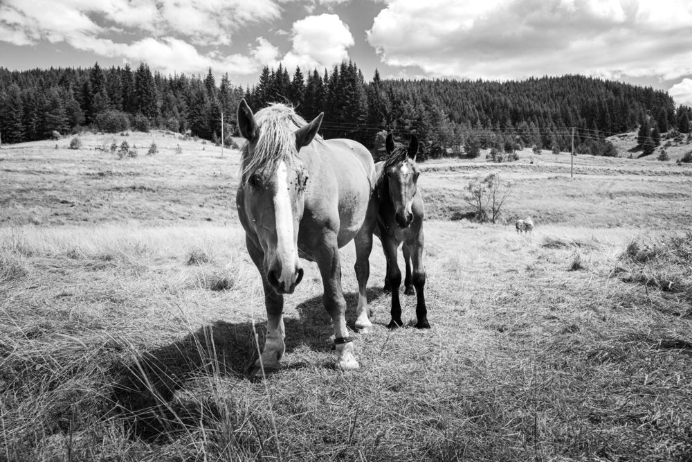 Фотография автора Ivelina Petkova