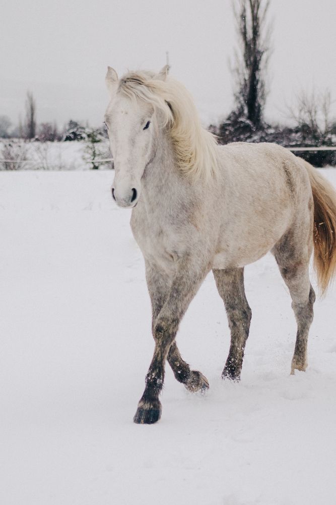 Photograph by Галина Фролова