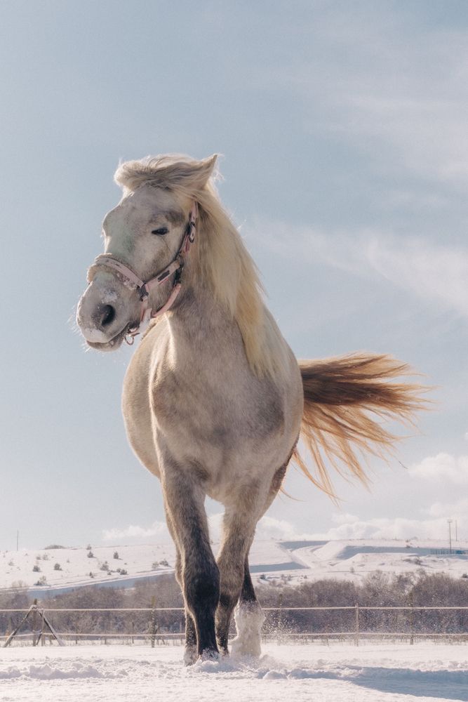 Photograph by Галина Фролова