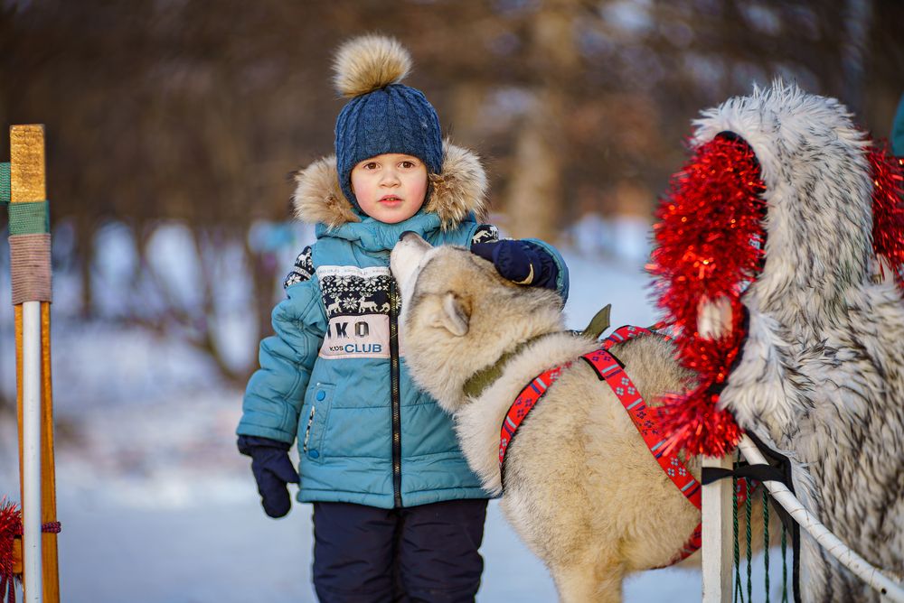 Photograph by Алексей Копцев