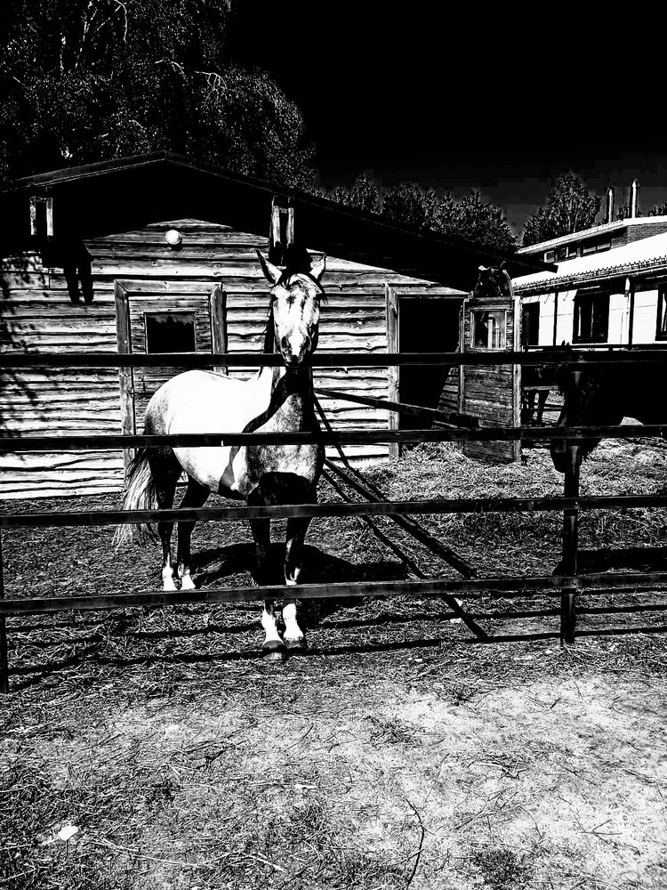 Фотография автора Наталья Драгун