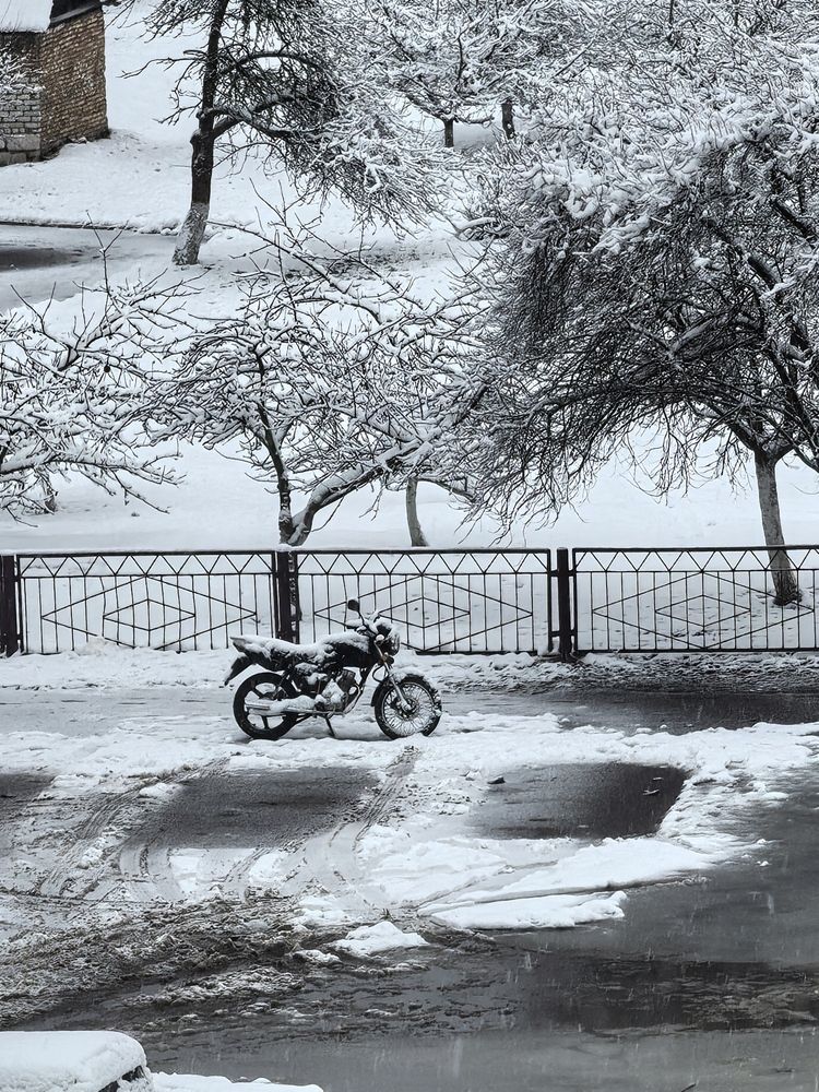 Photograph by Инна Невар