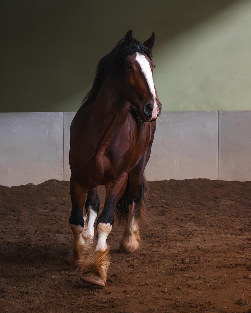 Photograph by Данил Шауба