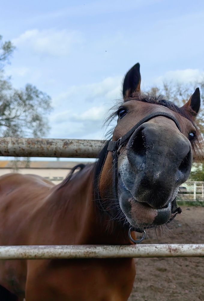 Photograph by Анастасия Кременчугская
