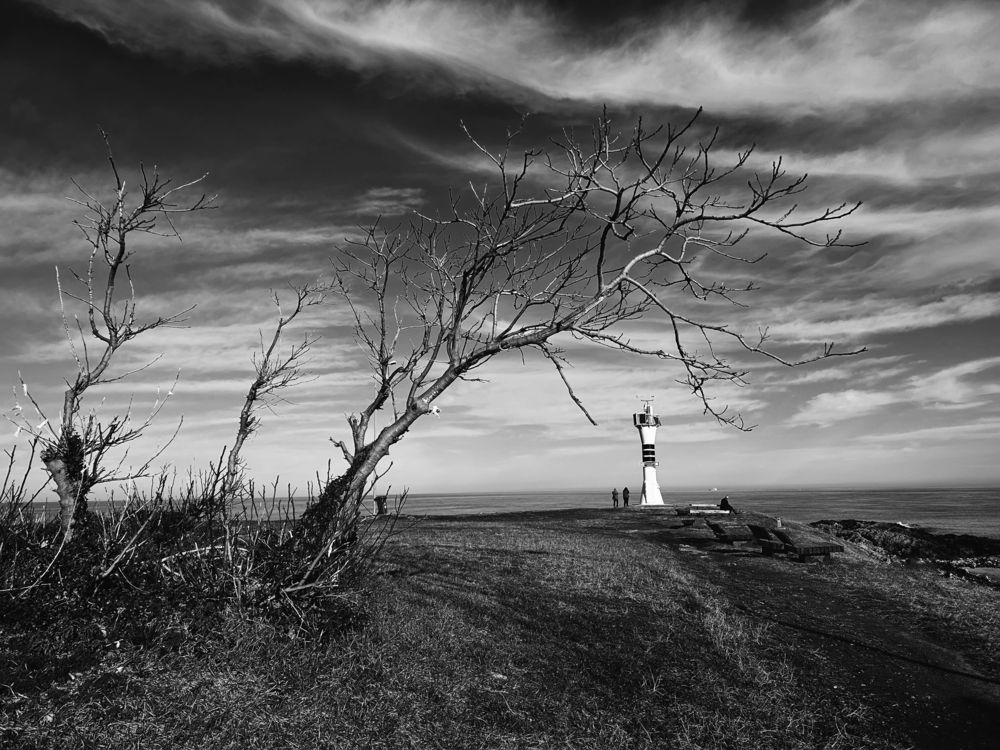 Photograph by Selma Kotanci