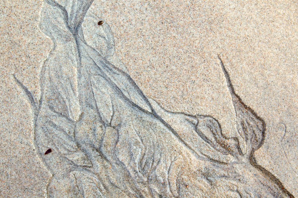 Photograph by EVGENY FADIN