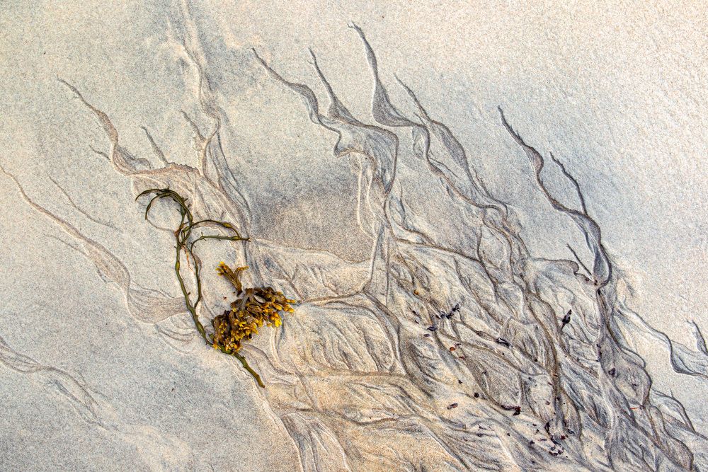 Photograph by EVGENY FADIN