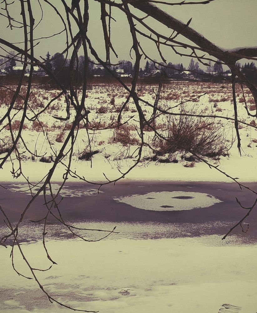 Photograph by Tatiana