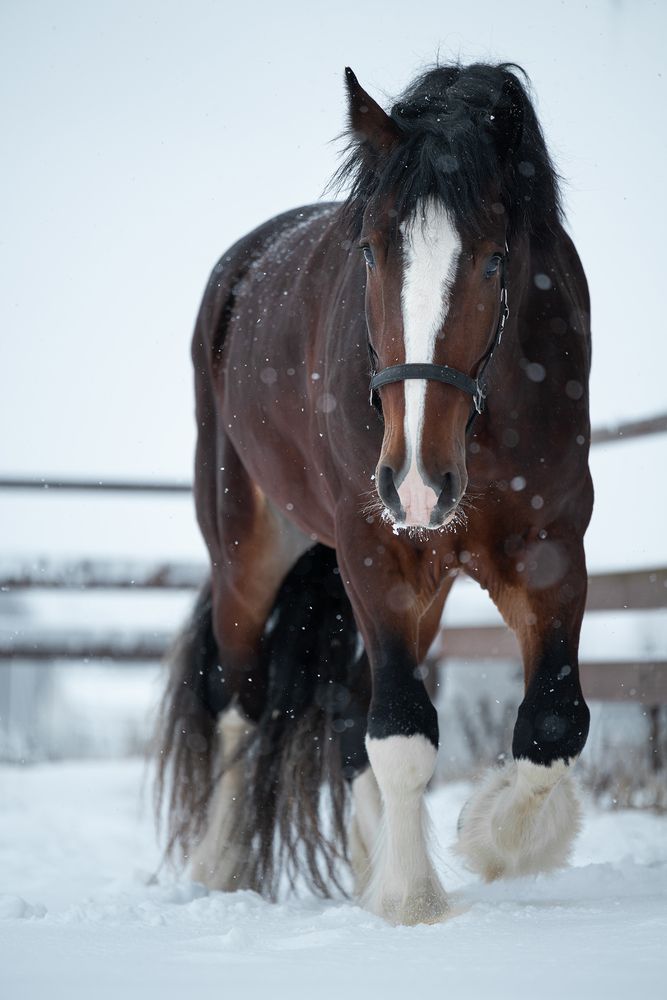 Photograph by Данил Шауба