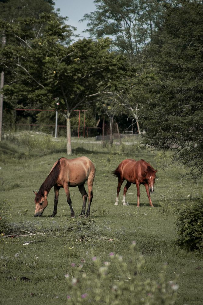 Photograph by Альфия Агзами