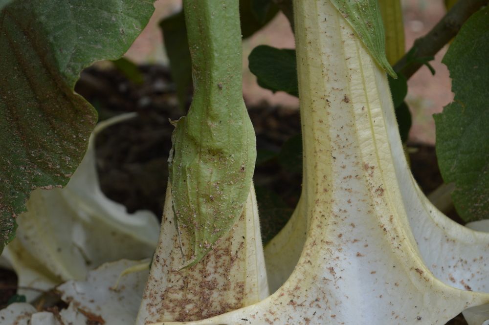 Photograph by Getrude Manase