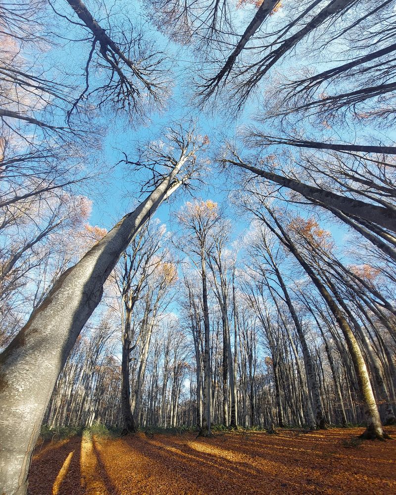 Photograph by Mohammad Ramezanipool