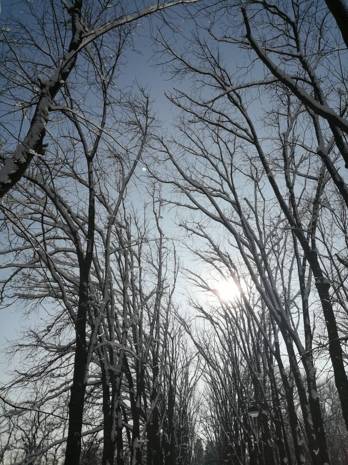 Зимнее солнце.