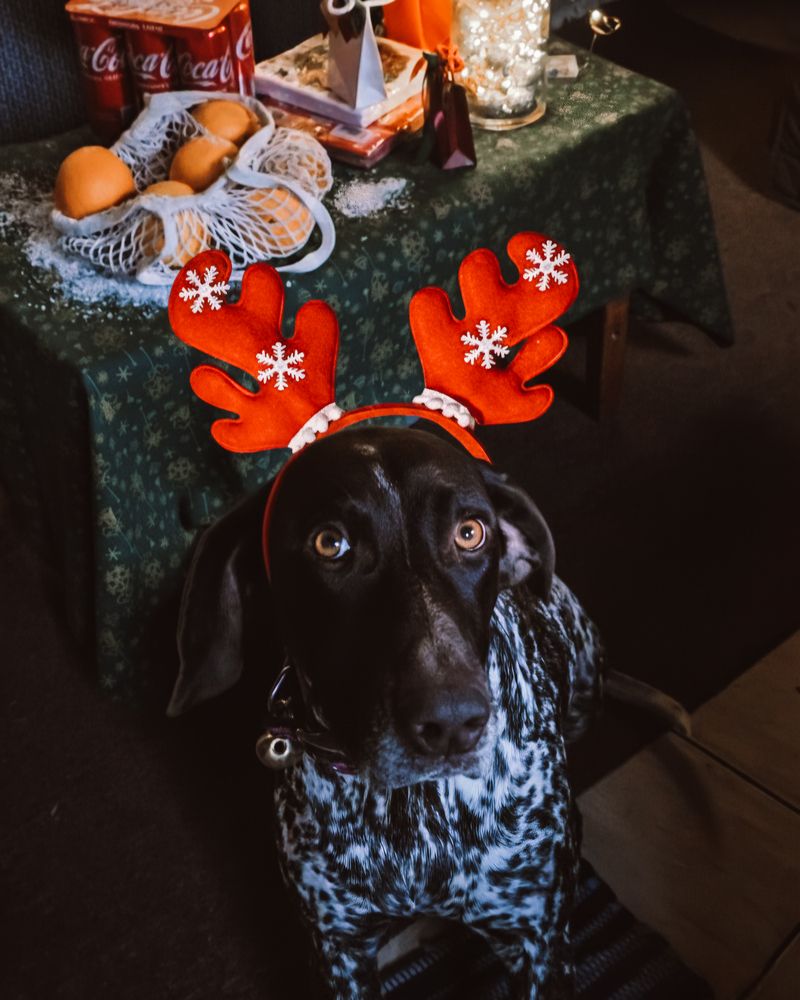 Photograph by Alexandra Sergeeva