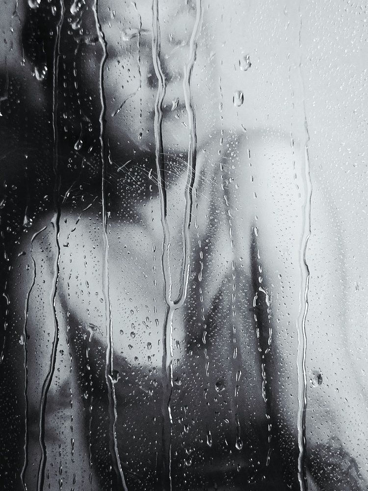 Photograph by Elena Safarova