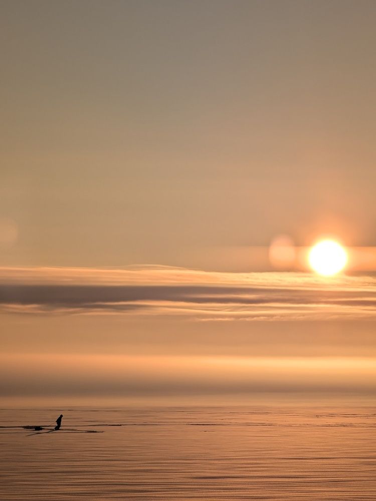 Фотография автора MaRoU Stay