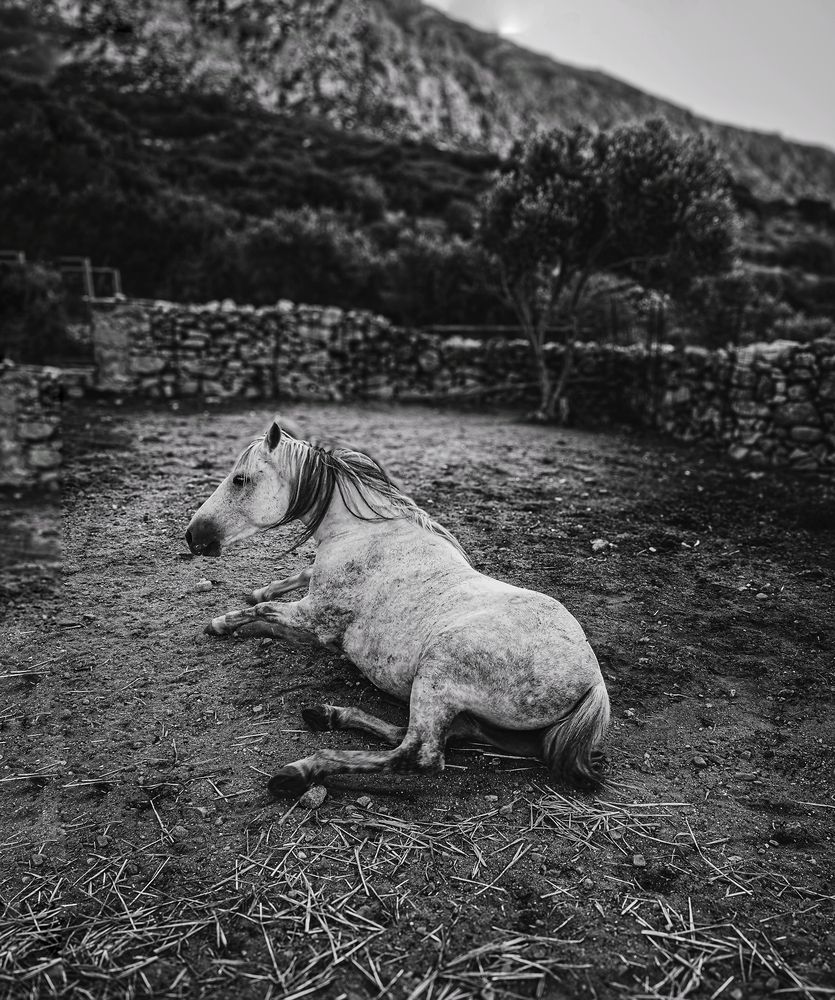 Фотография автора Alexandra Sergeeva