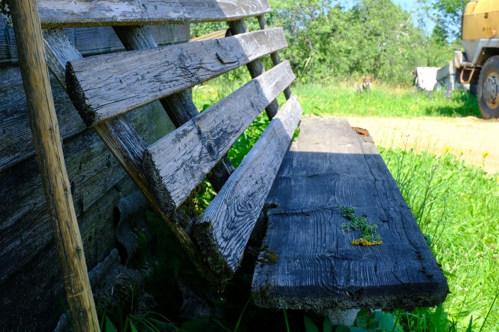 Photograph by Азамат Нургали